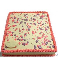 Ribbon Cake - Pink